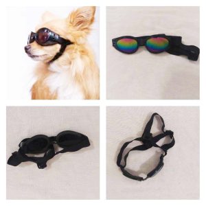عینک آفتابی حیوانات خانگی
