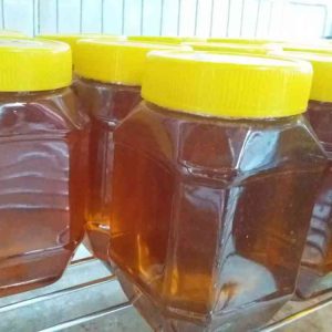 عسل گون طبیعی ارگانیک و خالص درجه یک از تولید به مصرف فروش عمده و خرده