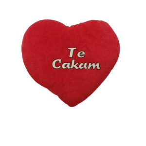 عروسک پولیشی قلب قرمز یا کوسن بالشک کادویی هدیه ولنتاین با نوشته به زبان اسلواکی Te Cakam به معنی من منتظر شما هستم