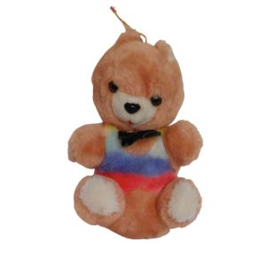عروسک خرس آویزی تدی ریز مخصوص کادو هدیه ولنتاین خارجی و وارداتی خرس رنگارنگ